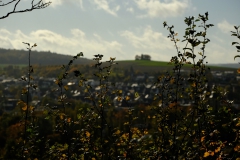 TonKlangLichterTauber-89