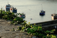 TonKlangLichter29.09.23_Zwischendurch-1