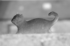 TonKlangLichter29.09.23_Zwischendurch-10