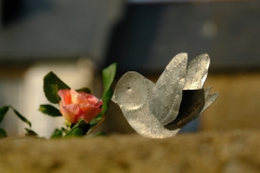 TonKlangLichter29.09.23_Zwischendurch-11