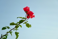 TonKlangLichter29.09.23_Zwischendurch-12