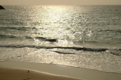 TonKlangLichter29.09.23_Zwischendurch-13