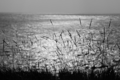 TonKlangLichter29.09.23_Zwischendurch-14