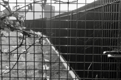 TonKlangLichter29.09.23_Zwischendurch-16