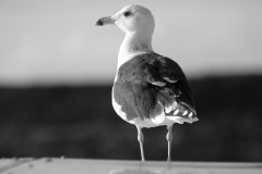 TonKlangLichter29.09.23_Zwischendurch-3