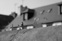 TonKlangLichter29.09.23_Zwischendurch-9