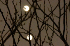 Jupiter und Venus  Kuschelkurs
