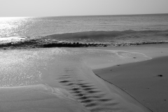 TonKlangLichterVaguesPorsligan-16