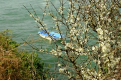 TonKlangLichterZuKalt-3